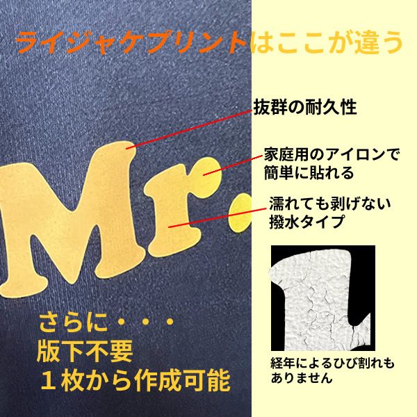 ライジャケメタルプリント