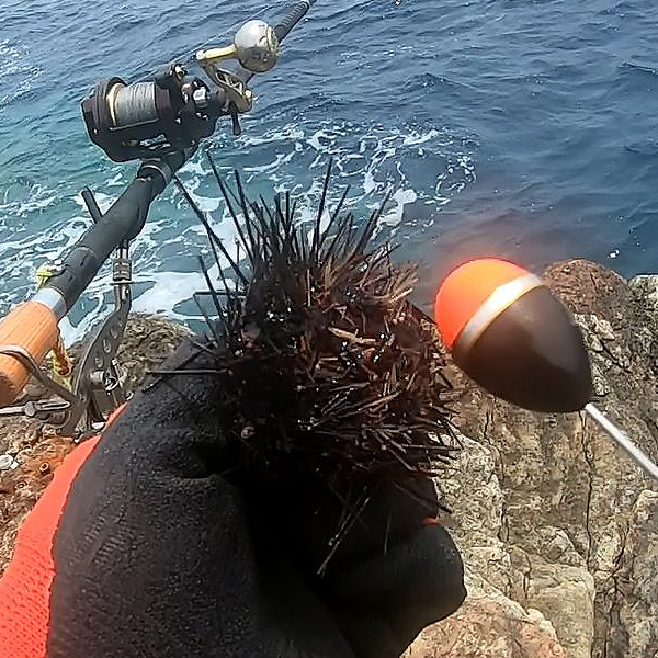 イシダイ専用グローブ