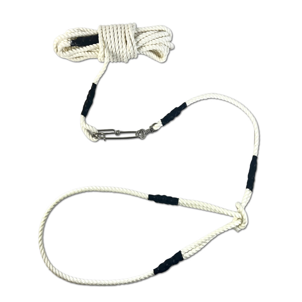 キングストリンガー