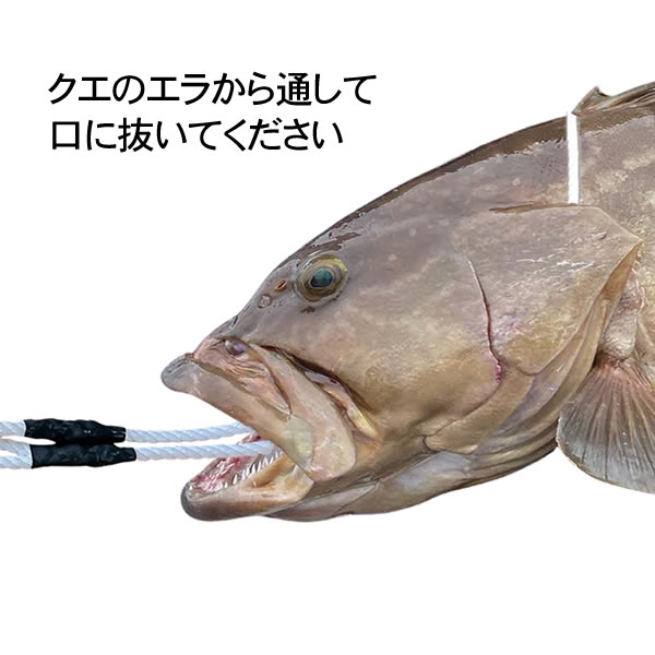 キングストリンガー